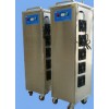 车间灭菌臭氧发生器，车间消毒臭氧发生器