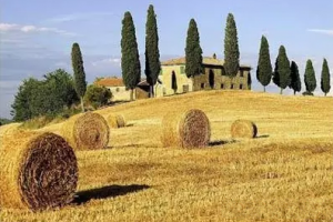 循环利用好处多!秸秆"变废为宝"造树脂材料可控制降解时间