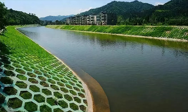 加强河道治理 保护林业资源 以高品质生态环境支撑高质量发展