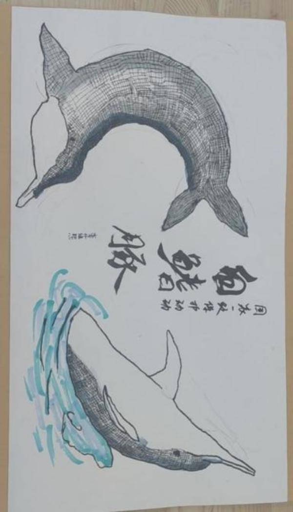 全国青年积极参与，2024年度中华白海豚保护宣传活动 保护生物多样性，热潮不减