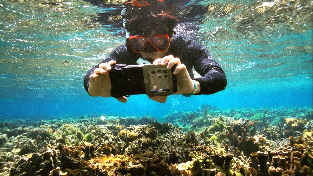 中国三星发布2024环境报告书